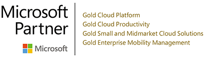 Microsoft Partner Gold Competencies Microsoft Partner Gold Competencies