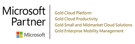 Microsoft Partner Gold Competencies Microsoft Partner Gold Competencies