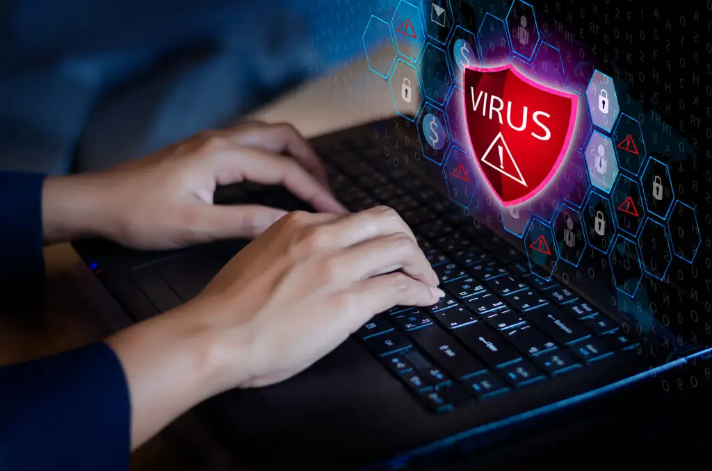 Viruses viruses