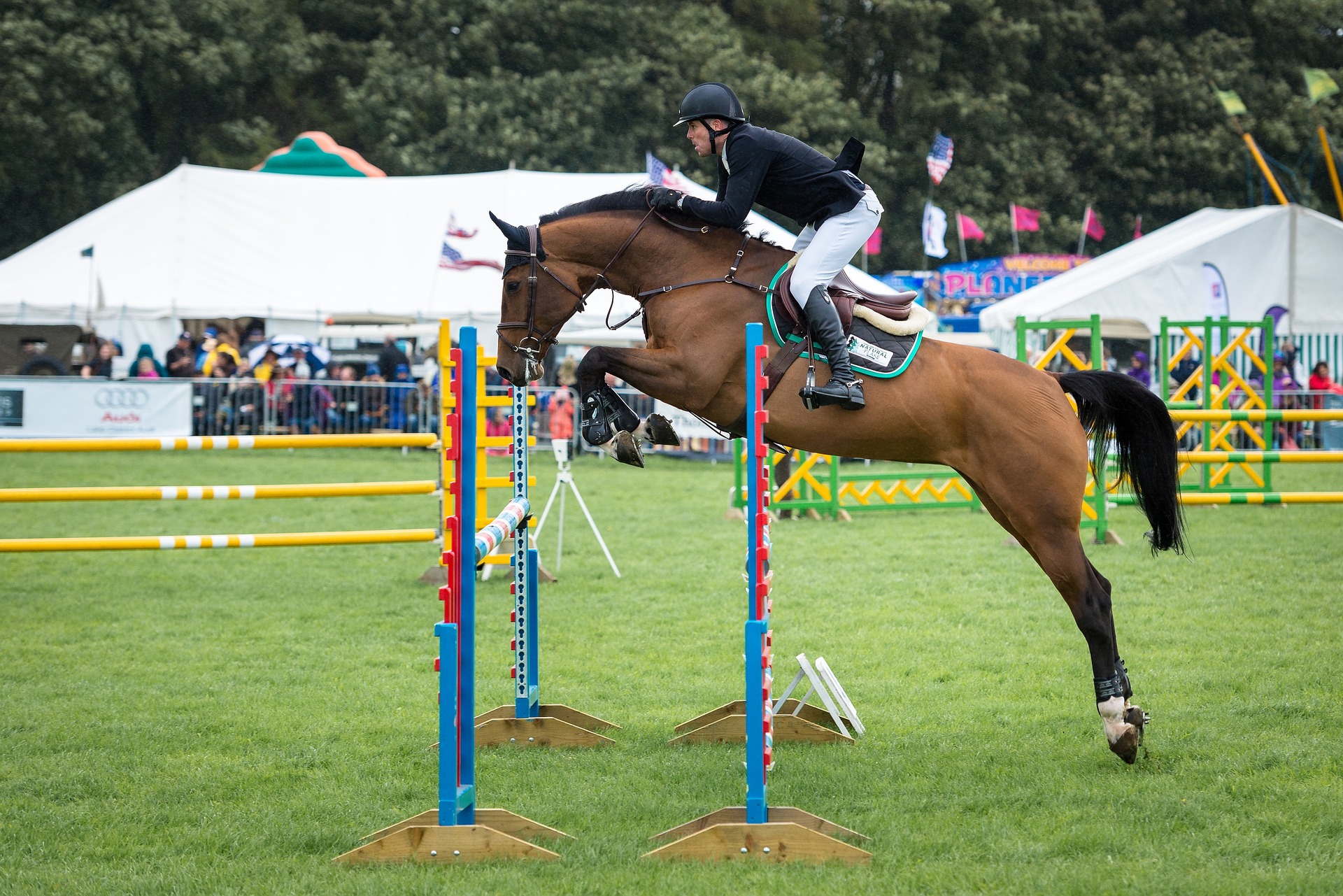 a person riding a horse jumping over obstacles