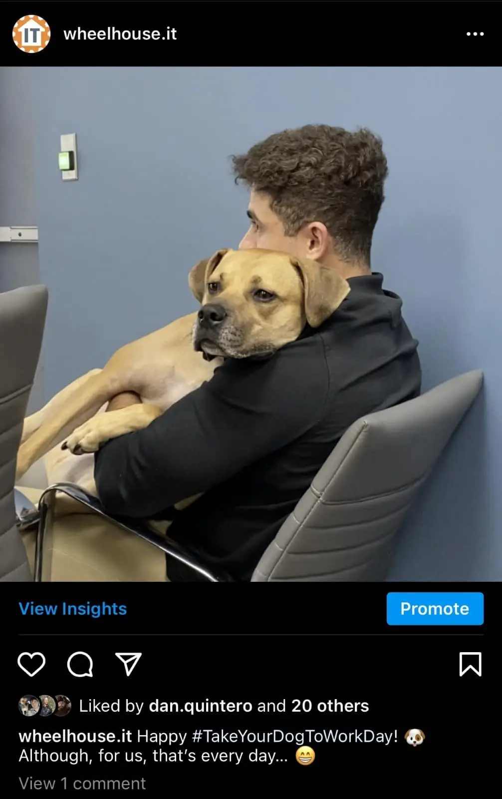 another wheelhouse it staff pet featured in a social media engagement post