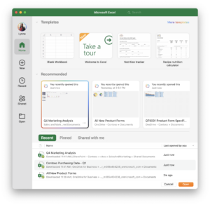 mac excel pride screenshot