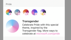 show your transgender pride flag