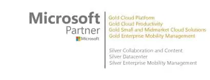 Microsoft Partner Program Gold And Silver Badges For High-Tech Expertise. microsoft partner program gold and silver badges for high-tech expertise.